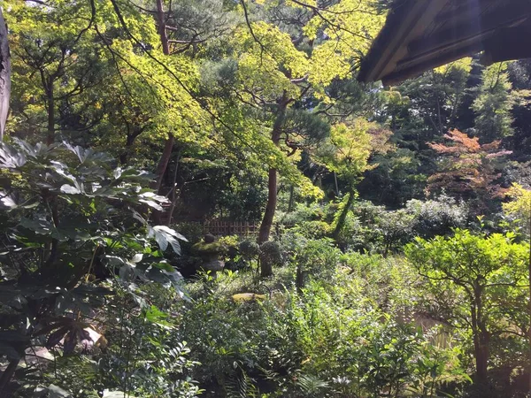 Zen, barışçıl Japon bahçesi — Stok fotoğraf