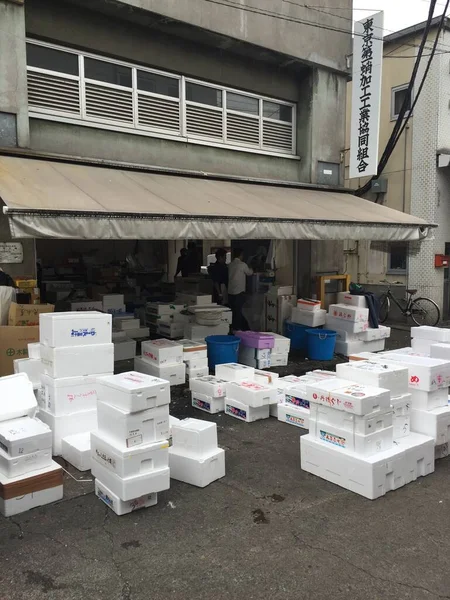 Mercado Peixe Tsukiji Foto Alta Qualidade — Fotografia de Stock