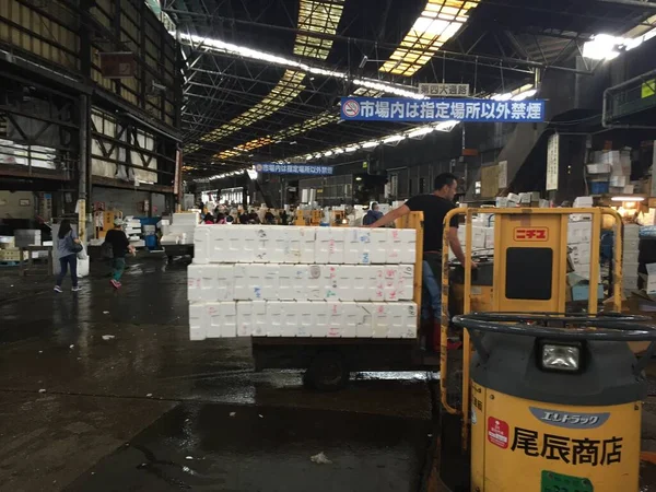 tsukiji balık pazarı