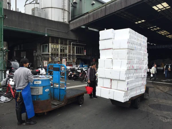 tsukiji balık pazarı