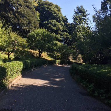 Tokyo 'daki Japon İmparatorluk Kalesi