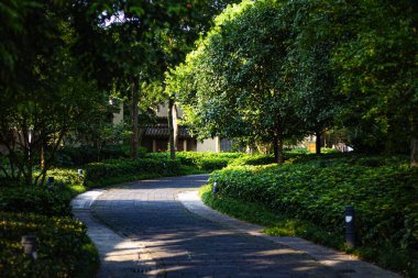 stilize edilmiş Çin bahçesi 