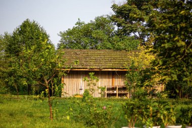 stilize edilmiş Çin bahçesi 