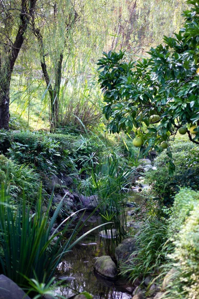 Jardín chino estilizado — Foto de Stock