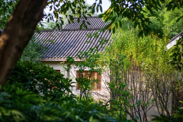 Jardín chino estilizado —  Fotos de Stock
