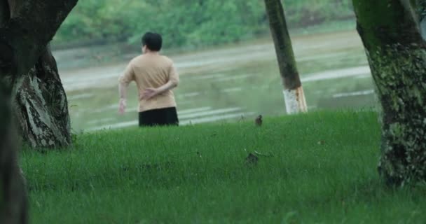 Ptak i ludzie w parku — Wideo stockowe