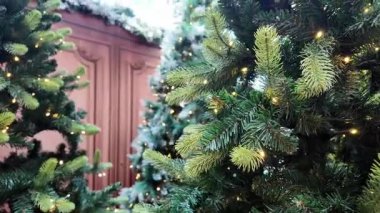 Avustralya 'nın doğal ortamında yürüyüş.