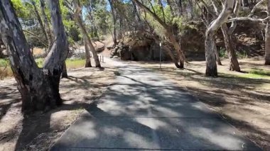 Avustralya 'nın doğal ortamında yürüyüş.