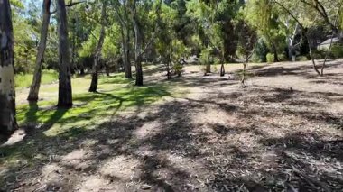 Avustralya 'nın doğal ortamında yürüyüş.