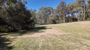 Avustralya 'nın doğal ortamında yürüyüş.