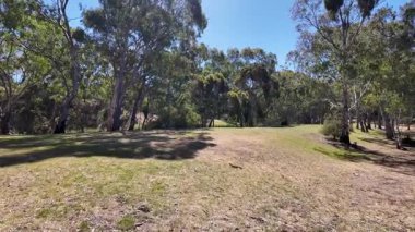 Avustralya 'nın doğal ortamında yürüyüş.