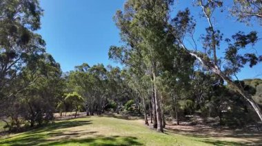 Avustralya 'nın doğal ortamında yürüyüş.