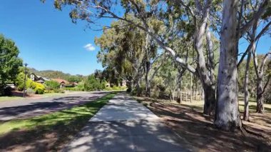 Avustralya 'nın doğal ortamında yürüyüş.