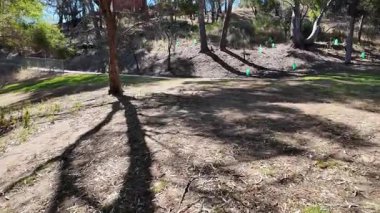 Avustralya 'nın doğal ortamında yürüyüş.