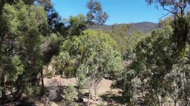 Avustralya 'nın doğal ortamında yürüyüş.