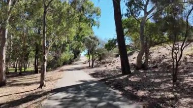 Avustralya 'nın doğal ortamında yürüyüş.