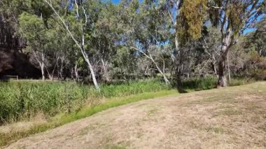 Avustralya 'nın doğal ortamında yürüyüş.