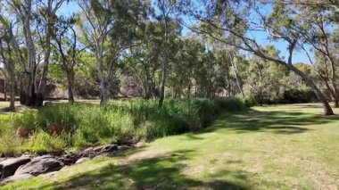 Avustralya 'nın doğal ortamında yürüyüş.