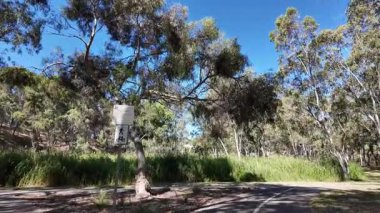 Avustralya 'nın doğal ortamında yürüyüş.