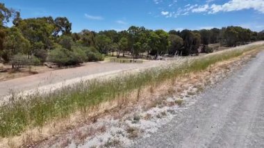 Avustralya 'nın doğal ortamında yürüyüş.