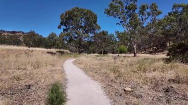 Avustralya 'nın doğal ortamında yürüyüş.