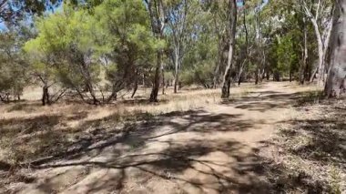 Avustralya 'nın doğal ortamında yürüyüş.