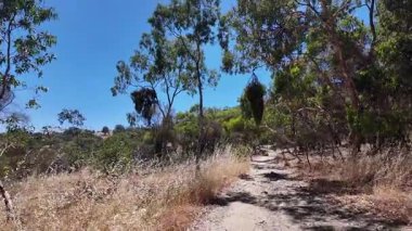 Avustralya 'nın doğal ortamında yürüyüş.