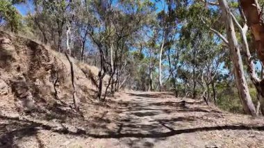 Avustralya 'nın doğal ortamında yürüyüş.