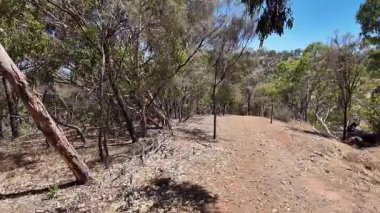 Avustralya 'nın doğal ortamında yürüyüş.