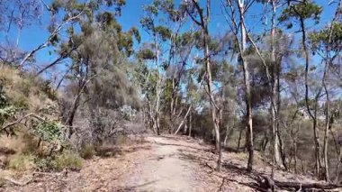 Avustralya 'nın doğal ortamında yürüyüş.