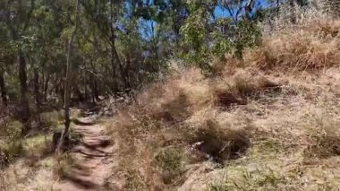 Avustralya 'nın doğal ortamında yürüyüş.