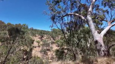 Melbourne şehir merkezinde sokak sahnesi, Avustralya