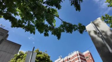 Melbourne şehir merkezinde sokak sahnesi, Avustralya