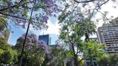 Melbourne şehir merkezinde sokak sahnesi, Avustralya