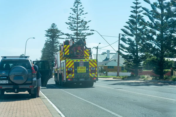 Adelaide Sahili yakınlarındaki Bushland Kıyı şeridinde ahşap kaldırım