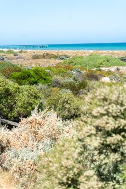 Adelaide Sahili yakınlarındaki Bushland Kıyı şeridinde ahşap kaldırım
