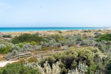 Adelaide Sahili yakınlarındaki Bushland Kıyı şeridinde ahşap kaldırım