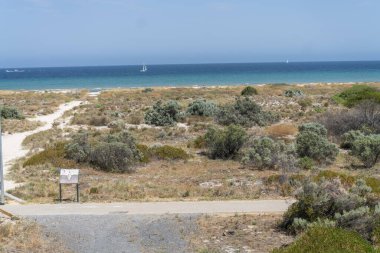 Adelaide Sahili yakınlarındaki Bushland Kıyı şeridinde ahşap kaldırım