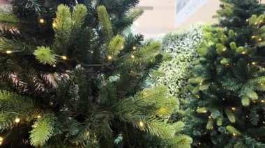 Açık Şehir Sahnesinde Sıcak Işıklarla süslenmiş Noel Ağaçları. Yüksek kalite 4k görüntü