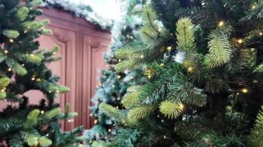 Açık Şehir Sahnesinde Sıcak Işıklarla süslenmiş Noel Ağaçları. Yüksek kalite 4k görüntü