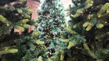 Açık Şehir Sahnesinde Sıcak Işıklarla süslenmiş Noel Ağaçları. Yüksek kalite 4k görüntü