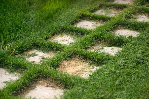 Sentiero di piastrelle in pietra, posato sul prato . — Foto Stock