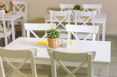 Bir tencere plastik bitki, hasır bir tencerede masanın üzerinde. Bir tencere plastik bitki, hasır bir tencerede masanın üzerinde. Arka planda açık renkli modern bir kafe var..