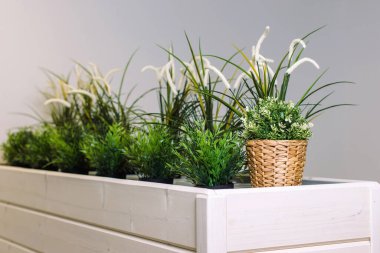 Bir tencere plastik bitki, hasır bir tencerede masanın üzerinde..