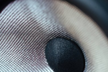 Hi-Fi ses sistemi hoparlör zarı, karbon süspansiyonu. Elit müzik, yüksek kalite. Makro çekim.