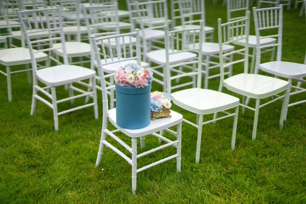 Chiavari stoelen op gras. Diagonale samenstelling. Mooi gazon. — Stockfoto