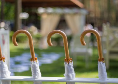 Güzel kalemler, şemsiye