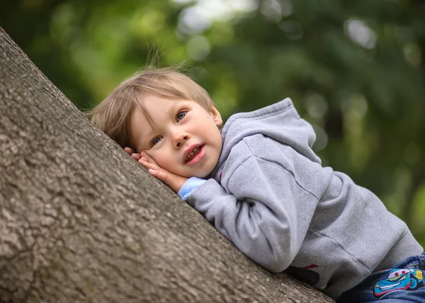 De kleine jongen op de boom — Stockfoto