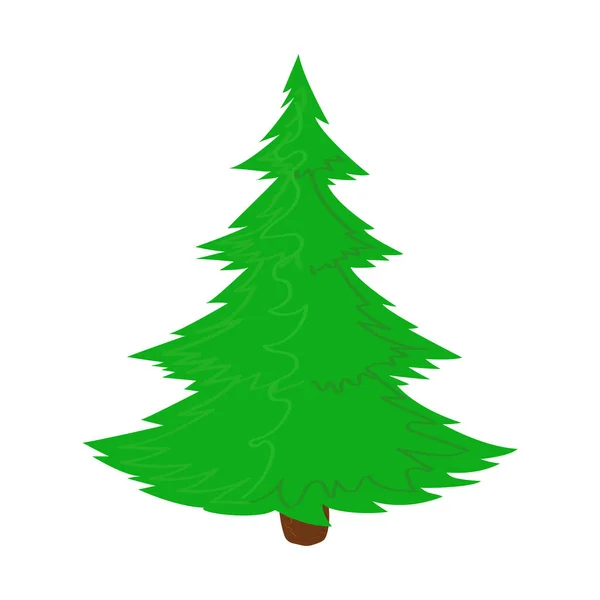 Arbre Noël Isolé Sur Fond Blanc Sapin Épicéa Pin — Image vectorielle