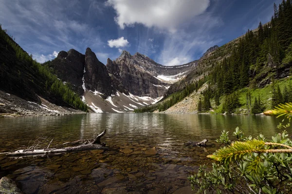 Pollice del diavolo sul lago di Agnes — Foto Stock